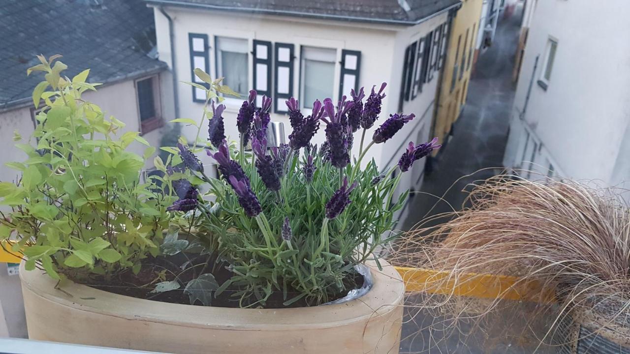Haus Alfina Villa Exteriör bild